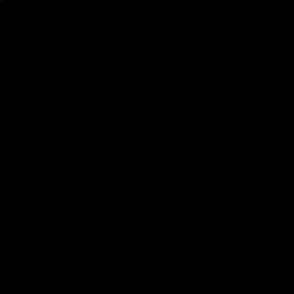 Meet your Posher, Oscar - Picture 1 of 1